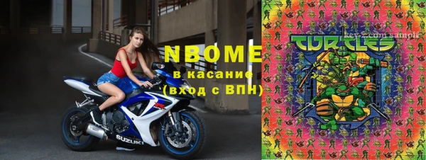 прущий лед Корсаков