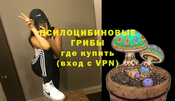 apvp Коряжма