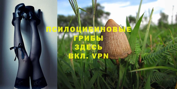 apvp Коряжма