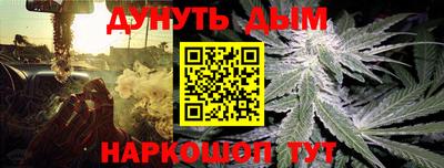 гашик Берёзовский
