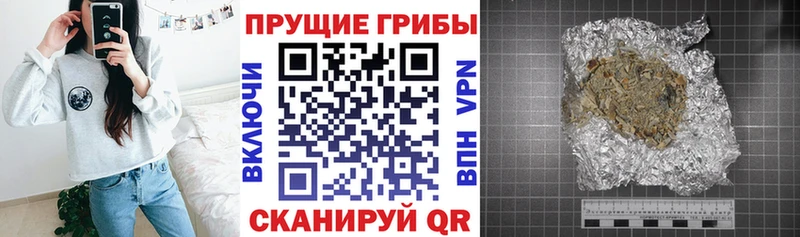 Галлюциногенные грибы GOLDEN TEACHER  купить наркотик  Волгодонск 