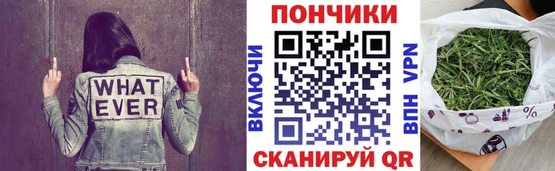 Шишки марихуана ГИДРОПОН  где купить   Волгодонск 